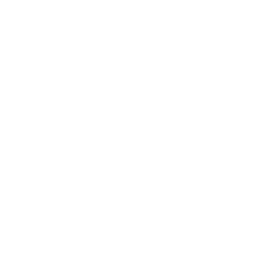 Maedy logo wit 500px